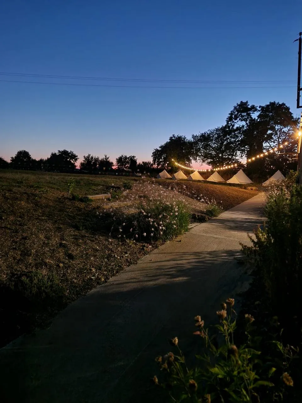 Le chemin qui mène aux tentes à la tombée de la nuit, entre la prairie et les arbres